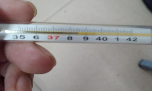 肠道去火吃什么药-去肠火的食物网-分享去肠火吃什么药最好，肠道去火吃什么药知识库